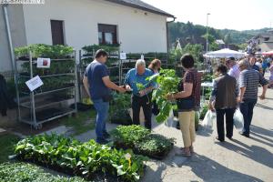 Sejem križani četrtek 10.05.2018 33